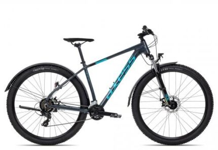 Axess SANDEE ATB 19 Zoll | grey | 29 Zoll | Markenräder & Zubehör günstig kaufen | Lucky Bike