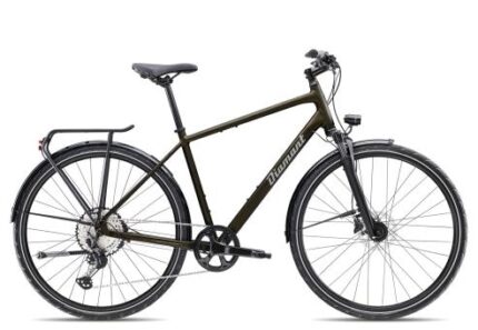 Diamant Elan Super Deluxe 2025 L | oxidgruen metallic | Markenräder & Zubehör günstig kaufen | Lucky Bike